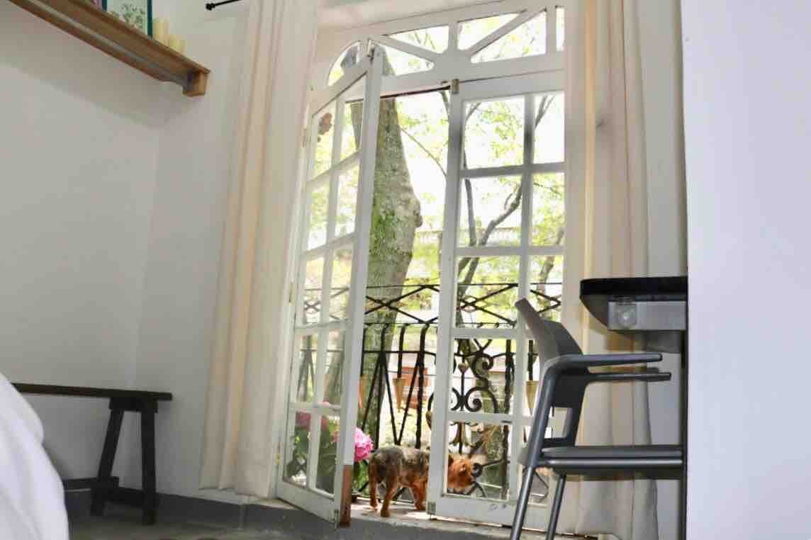 House colonia Roma gallery image 4