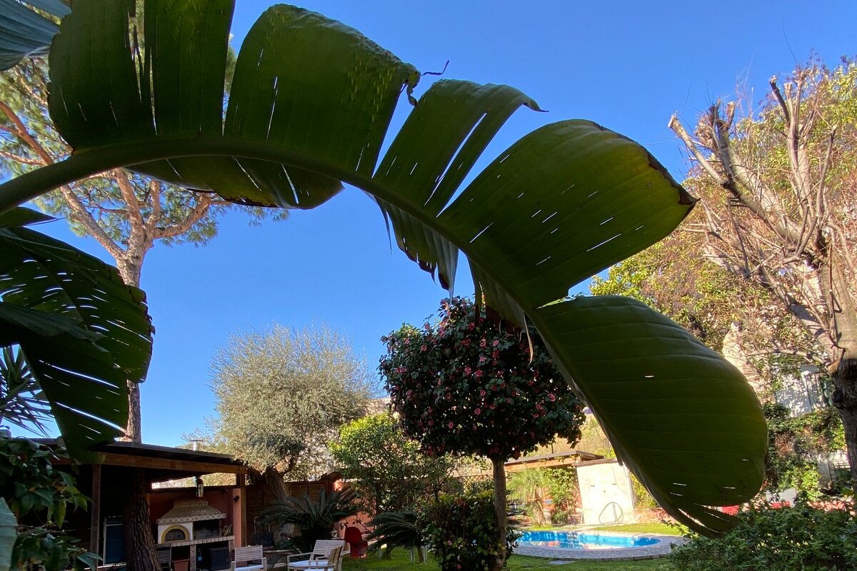 Residenza Gemito piscina privata 6 posti letto gallery image 5