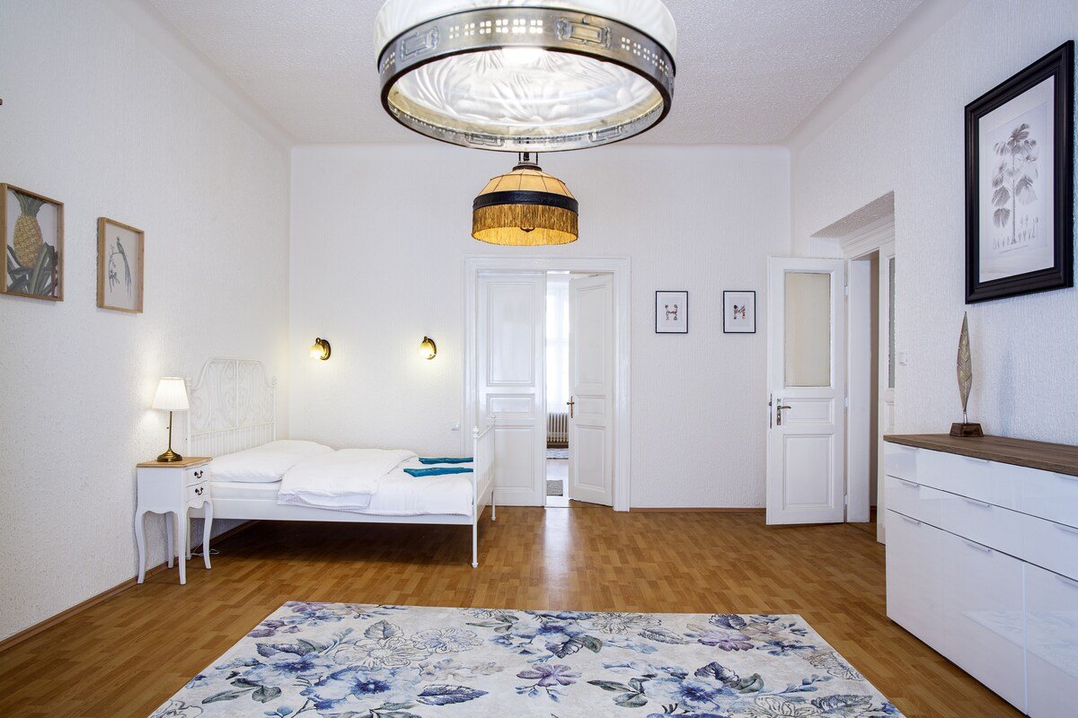 ★★★ LARGE 3 BDR APT ❤ IN THE HEART OF PRAGUE ★★★ gallery image 3