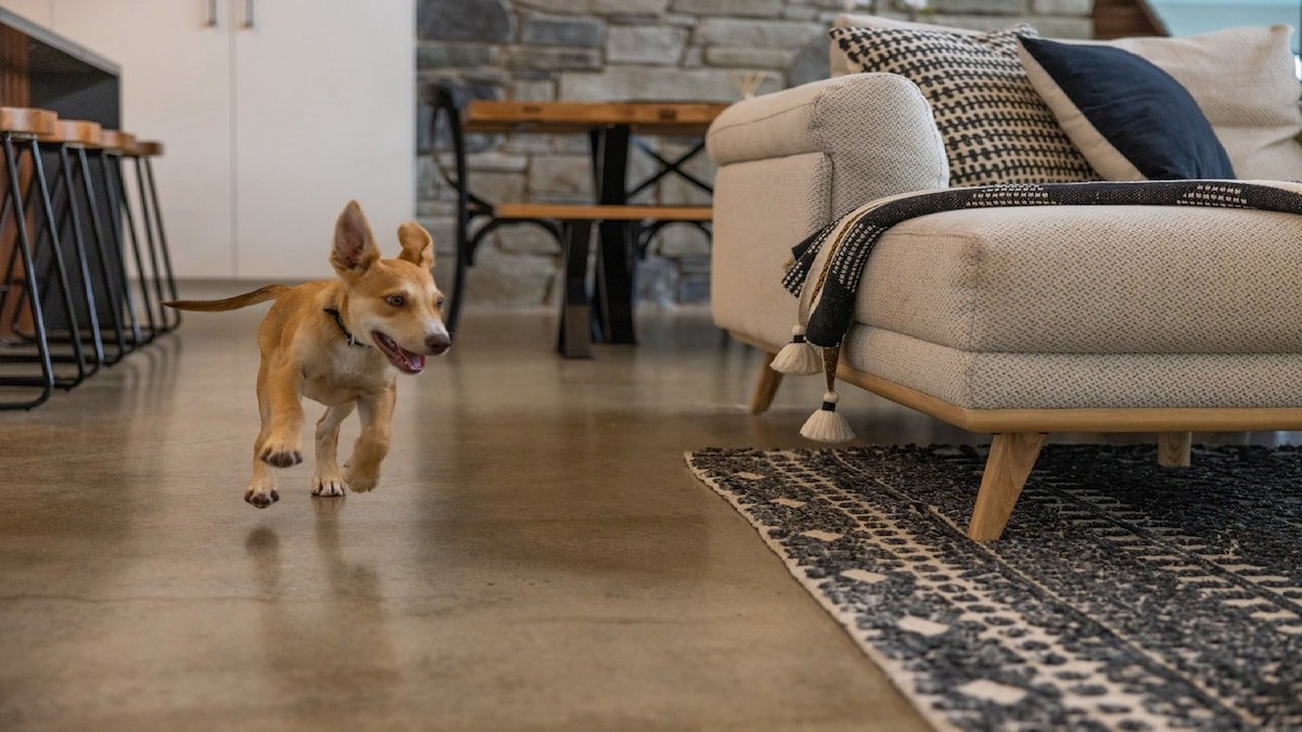 Serendipity – Pool, Pets OK, Fireplace, Village gallery image 5