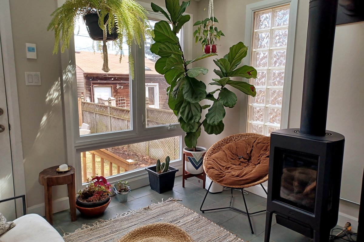 Spacious and Cozy Home in High Park