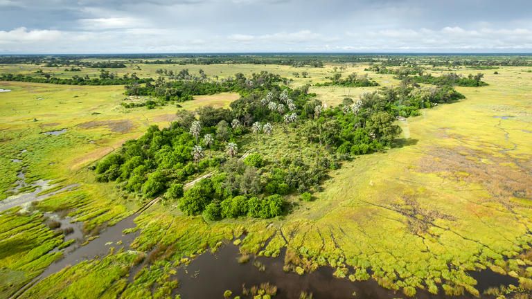 Ariel View - Amber River Camp - Okavango Delta