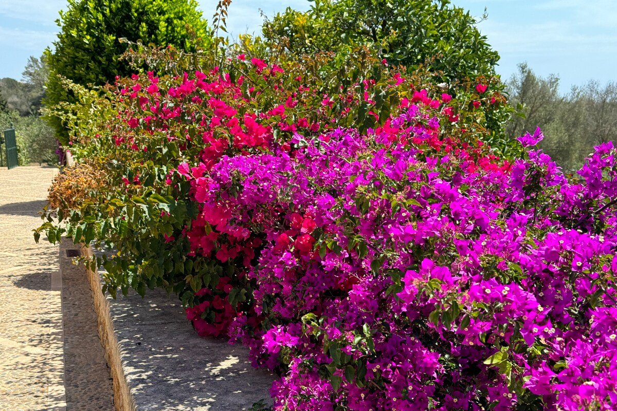 Stylish Country Villa with huge Pool Flower Garden gallery image 4