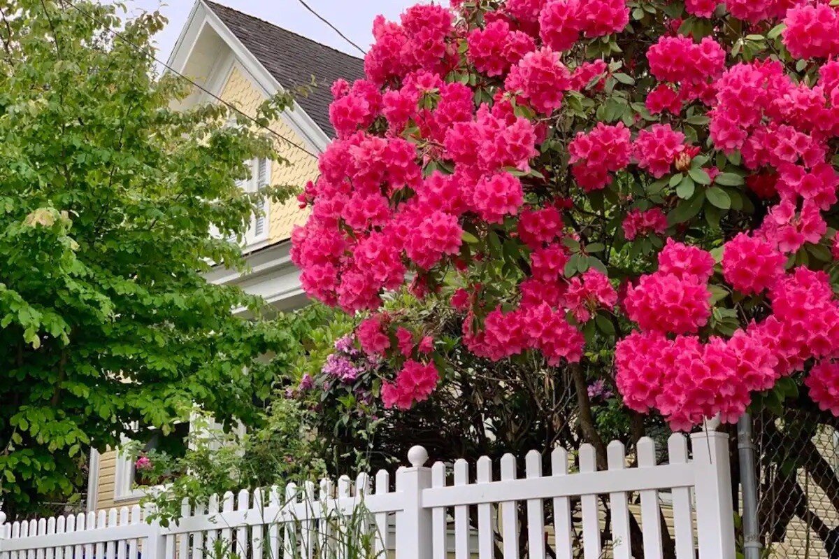 King Beds! Games! Amazing Area w/ 95 Walk Score. gallery image 5