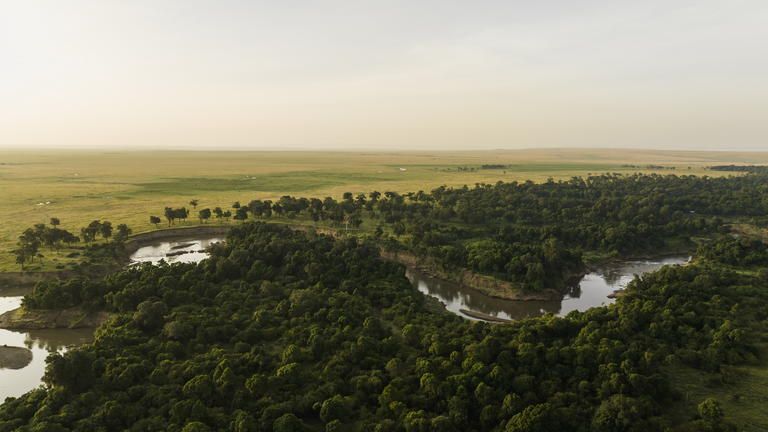 Wilderness Mara - Wilderness Mara is one of just a few select camps in the Mara Triangle that allows guests access to both sides of the Mara River.