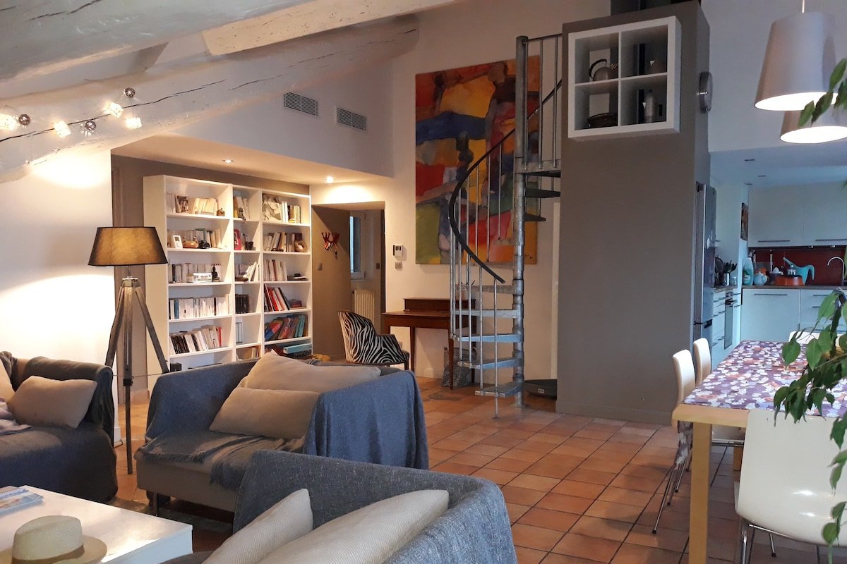 LYON CROIX ROUSSE GRAND APPARTEMENT CHALEUREUX gallery image 2