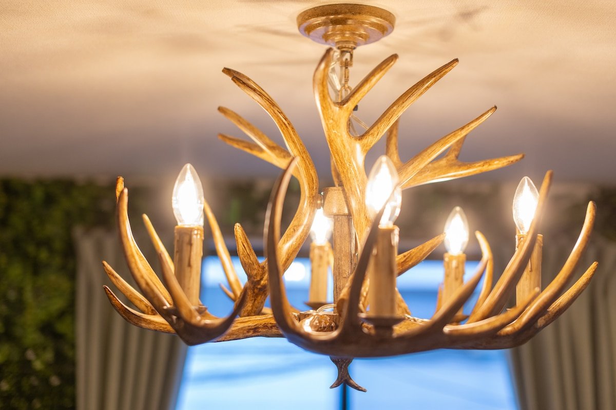 7 min walk sta. 3 min to Shibuya. 7Bed. 3Room gallery image 5