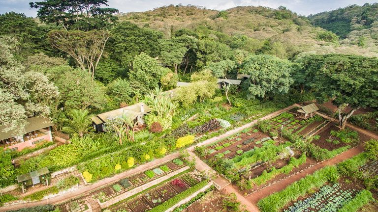 Arial view of Gibb's Farm
