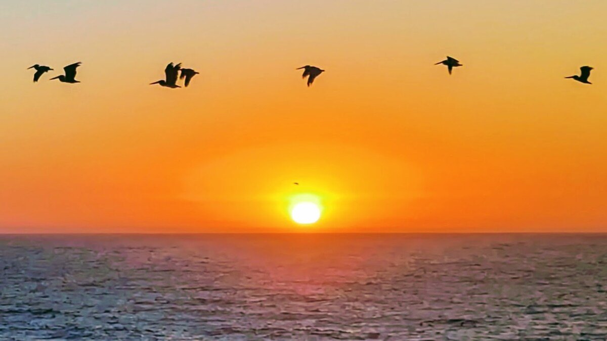 New- Stunning Oceanfront “Pelican Bluffs” gallery image 3