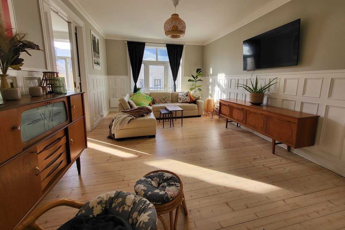 Spacious condo close to City, Palace & Aker Brygge gallery image 2