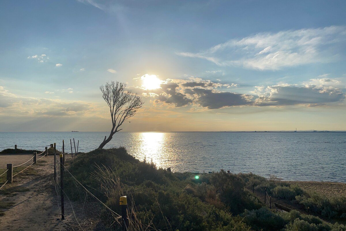 Luxurious 4 Bedroom Apartment on Brighton Beach gallery image 3