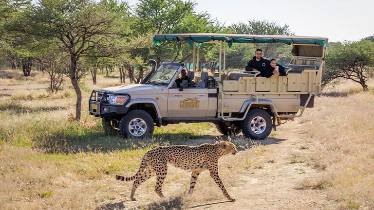 Cheetah Conservation Fund