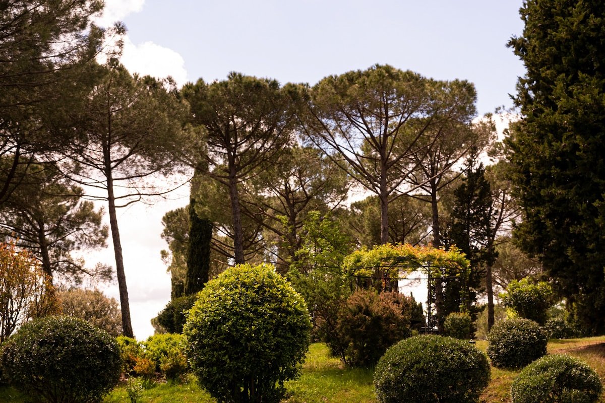 Leila gallery image 3