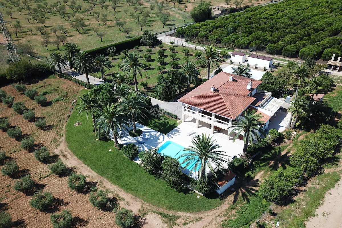 Spectacular villa in Mallorca gallery image 3