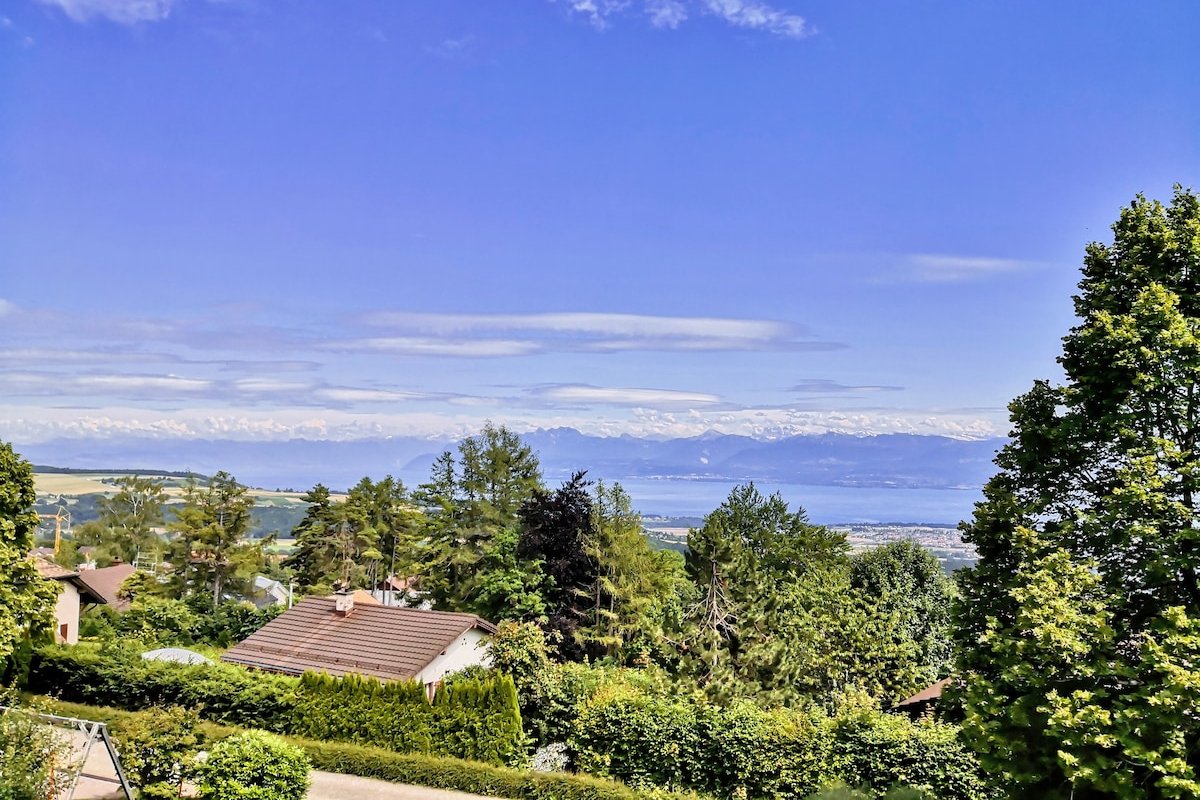 Arzier House, Alps View, 30 min to Geneva/Lausanne gallery image 3