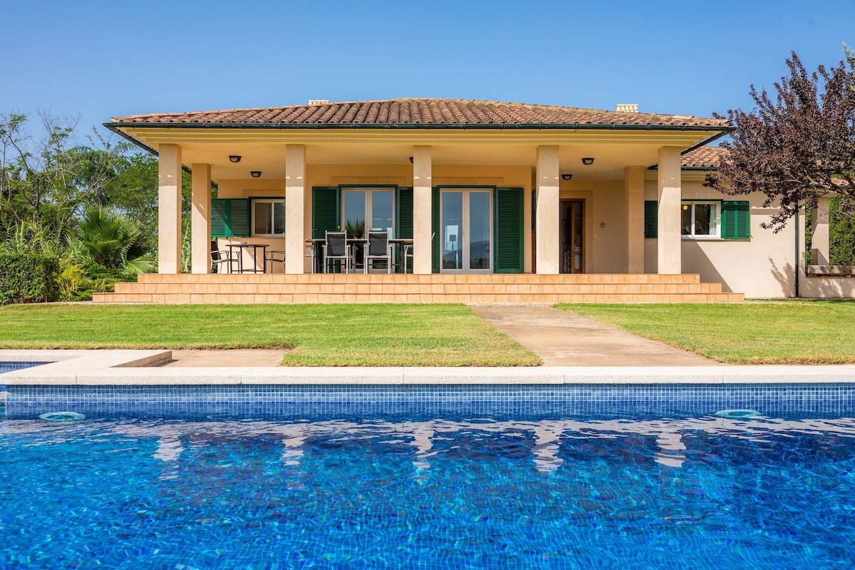 La Vinya del Beato 1950 gallery image 2