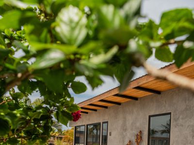 Waterfront 4bdrm villa 24 with pool and dock.