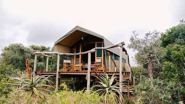 Tent exterior