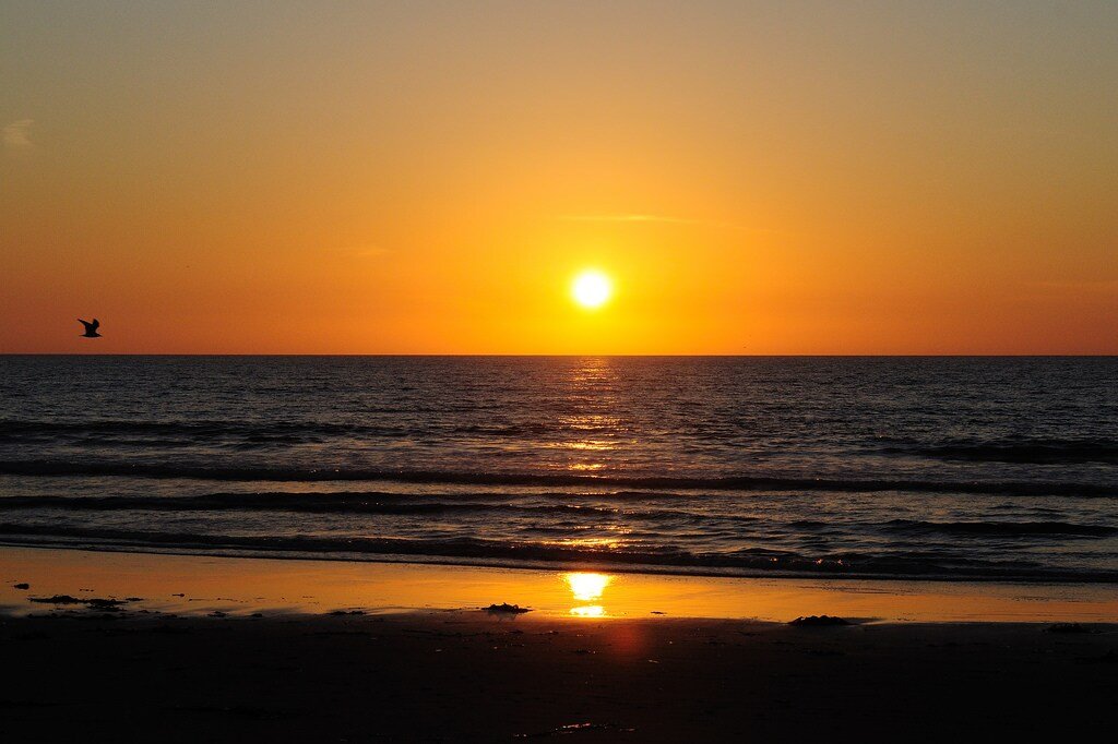 2MissionBeachHMs/OceanFRONT/Sunset/Views/5Patios gallery image 5