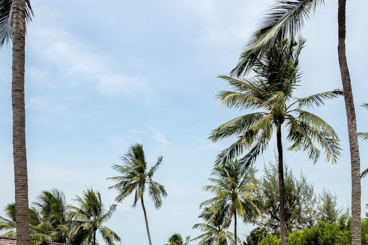 Baan Puri gallery image 3