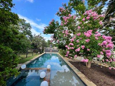 Austin Oasis Massive Pool, Spa, Goats and Chickens