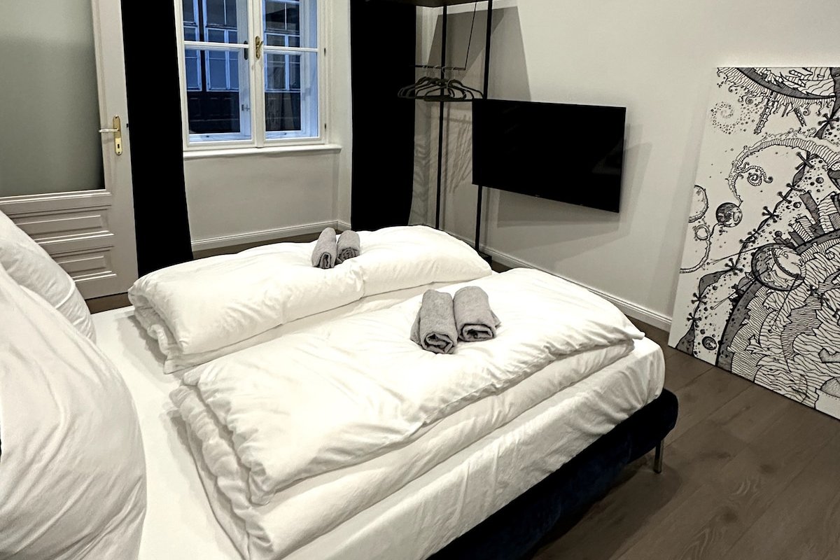 Kaiserin Sissi – City Apartment Downtown Vienna gallery image 4