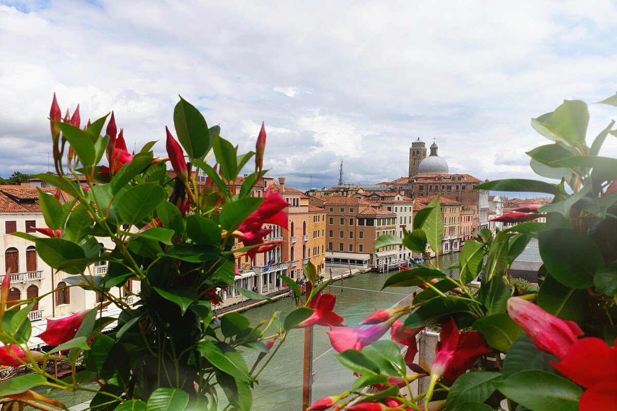 LHost in Venice – The Big Dream gallery image 5
