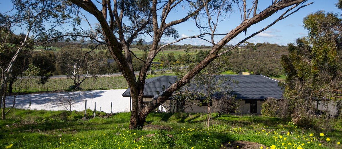 Barossa house in the vines & stunning valley view! gallery image 3