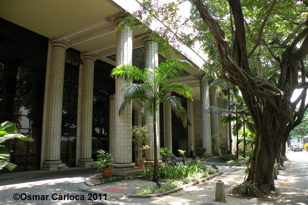 Apartamento lindo,aconchegante e ótima localização gallery image 3