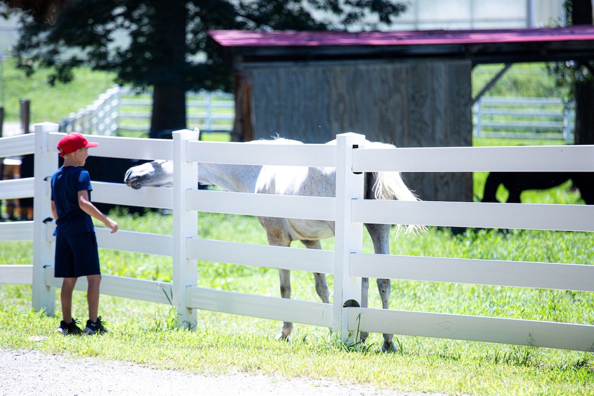 Asheville Farm Retreat, hot tub, King bed, firepit gallery image 2
