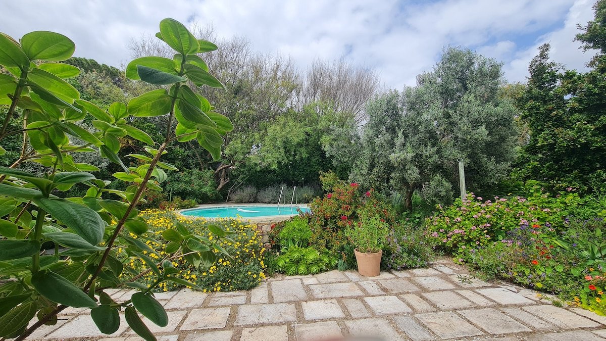 Coastal Tranquility with Lush Garden & Pool gallery image 2