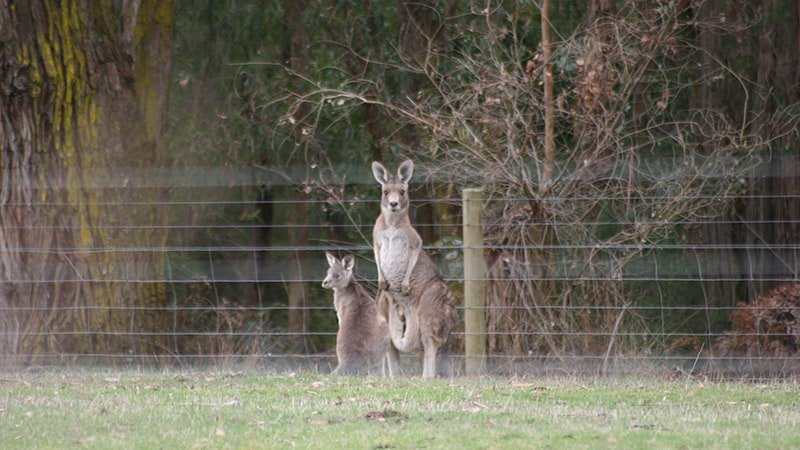 The Barn at Charlotte’s Hill. gallery image 5