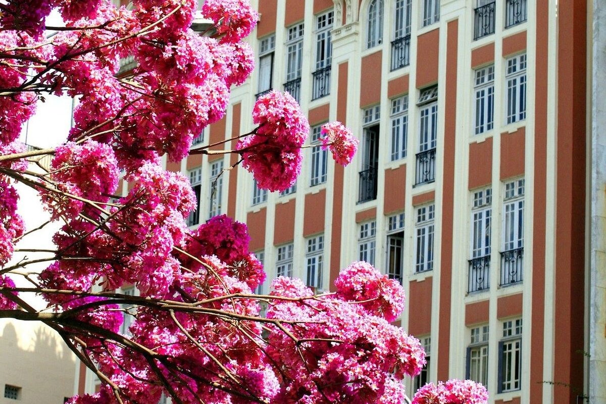 Apartamento vintage na Glória gallery image 2