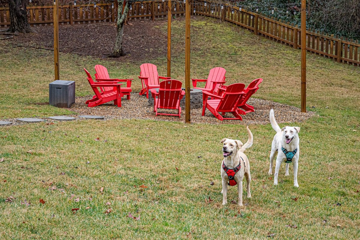 Pup-Friendly Asheville Oasis:Game|Sauna|Hot Tub gallery image 3