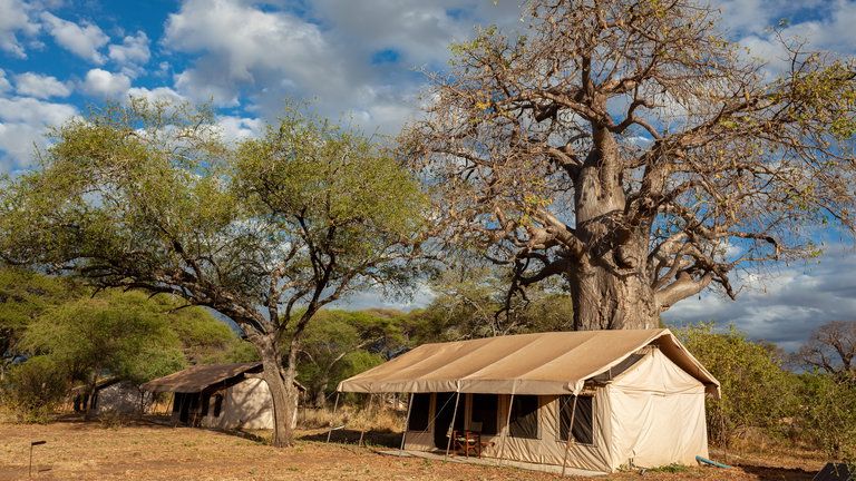 Baobab Tented Camp Standard room