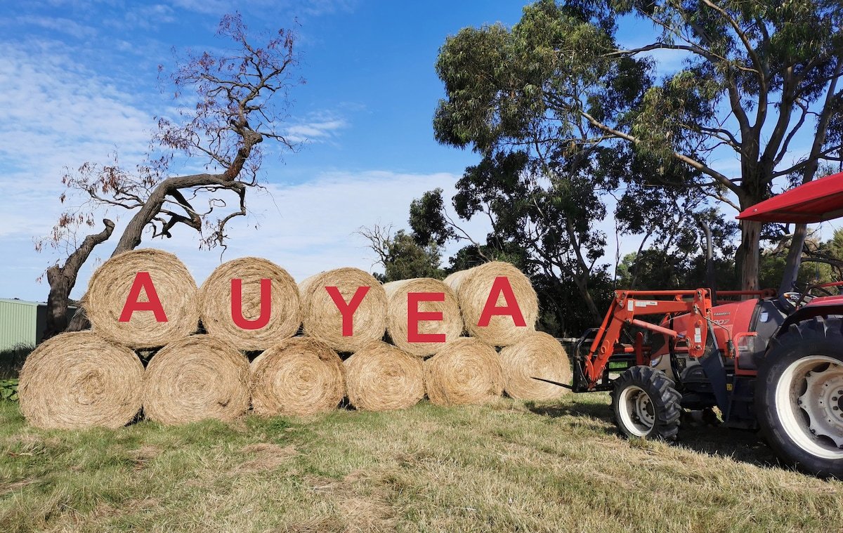 Auyea Farm 3BR Entire House – 7 Mins to Gumbuya gallery image 3