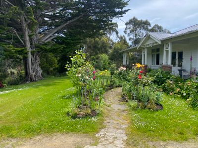 Luxury 3-BR Riverside Homestead Retreat