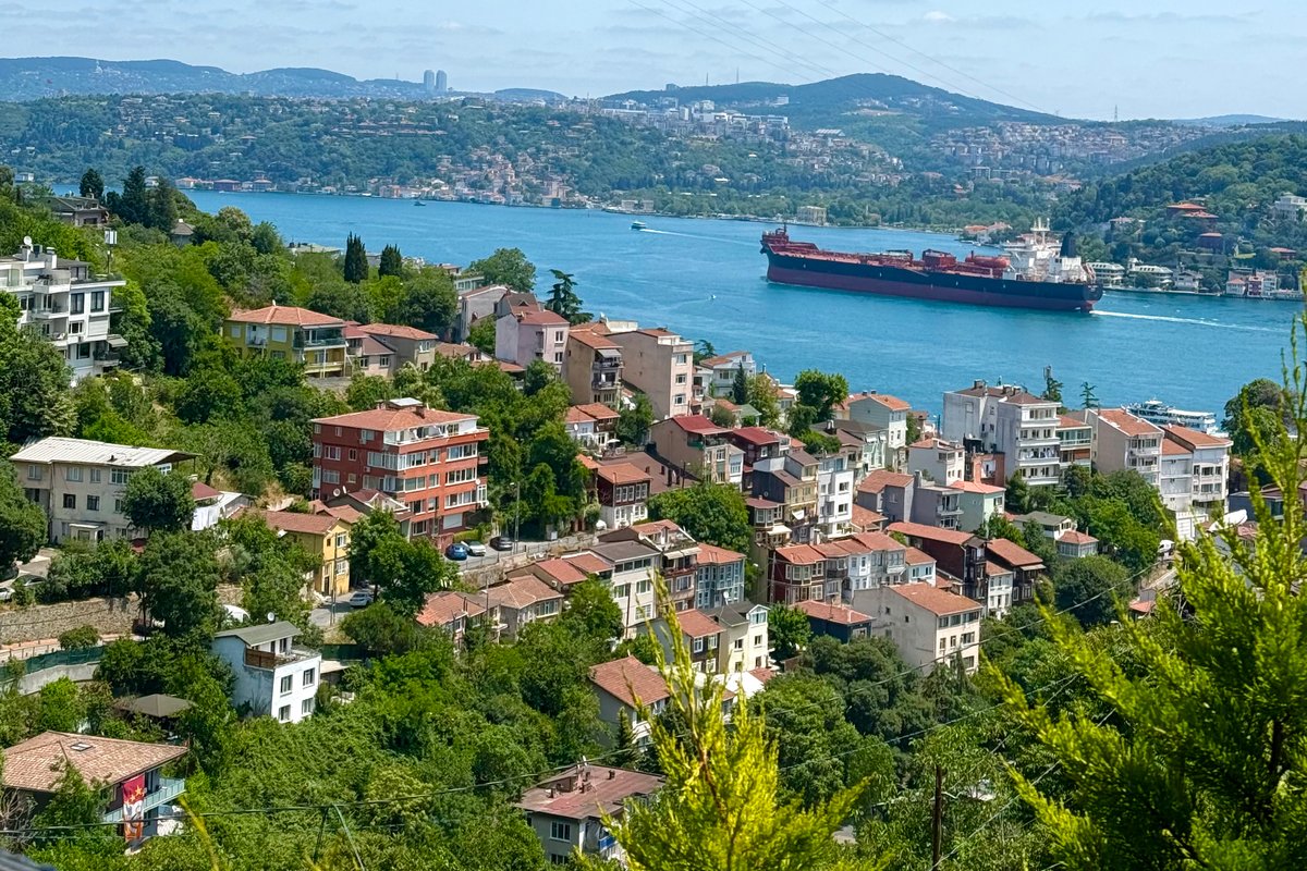 Detached house with magnificent Bosphorus view