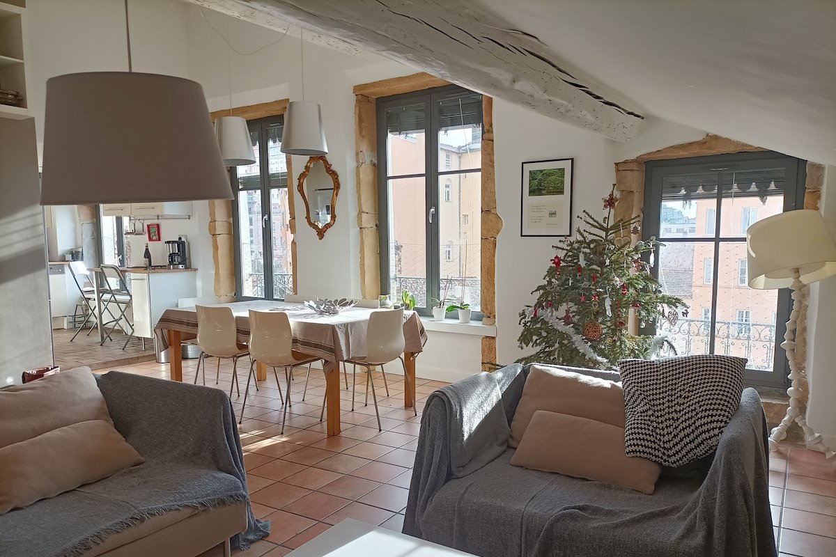 LYON CROIX ROUSSE GRAND APPARTEMENT CHALEUREUX gallery image 3