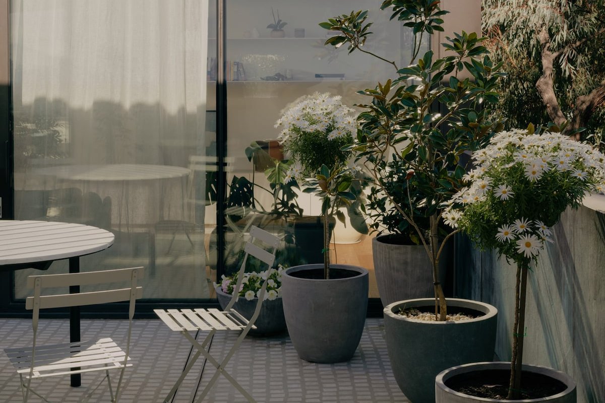 The Napier Apartment | A Fitzroy Penthouse gallery image 2