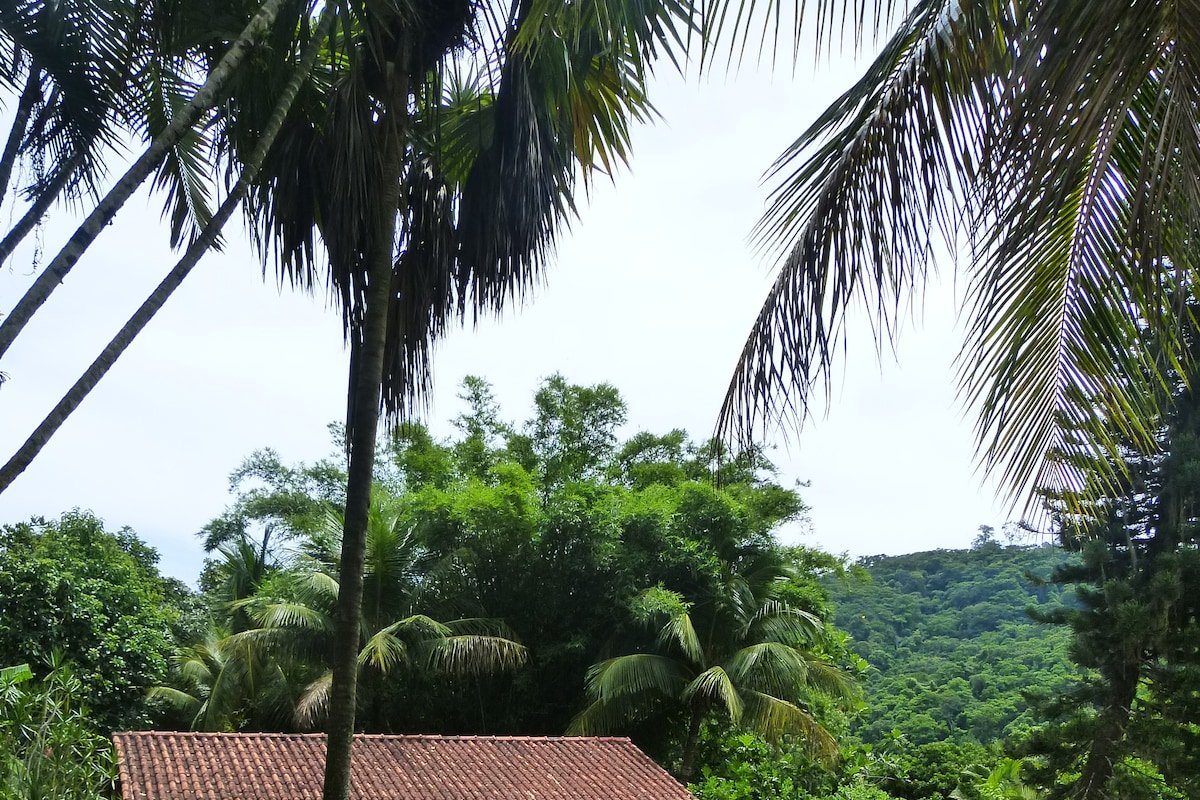 Casa na cidade com ares do campo gallery image 3