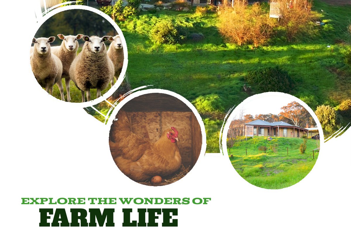 Rose Creek Farm Stay, Williams