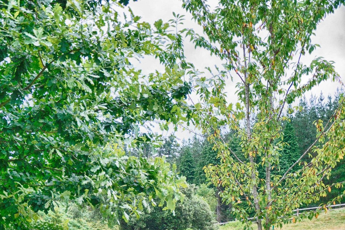 Disfrutar de entorno natural en Lapatza, Mallabia gallery image 3