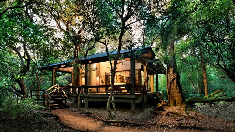 andBeyond Phinda Forest Lodge Suite(s)