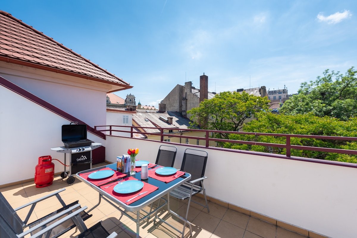 Large Duplex Apartment with a Sunny Terrace gallery image 2