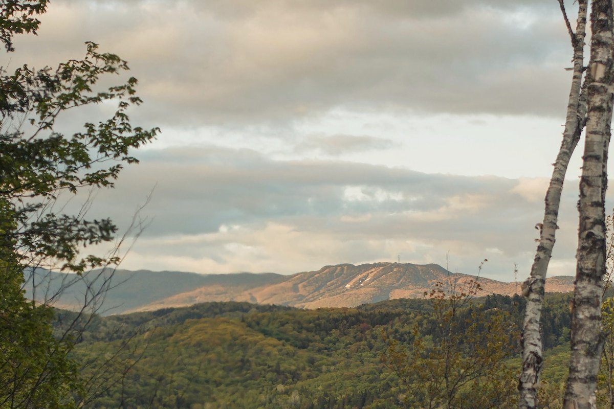 LD Cabin – Luxury Mountain Escape w/ Spa & Sauna gallery image 3