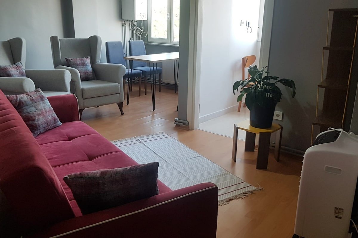 Müge and Nebi Istanbul Apartment 2 gallery image 4