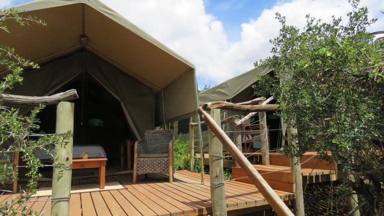 Amakhala Woodbury Tented Camp Family Tent