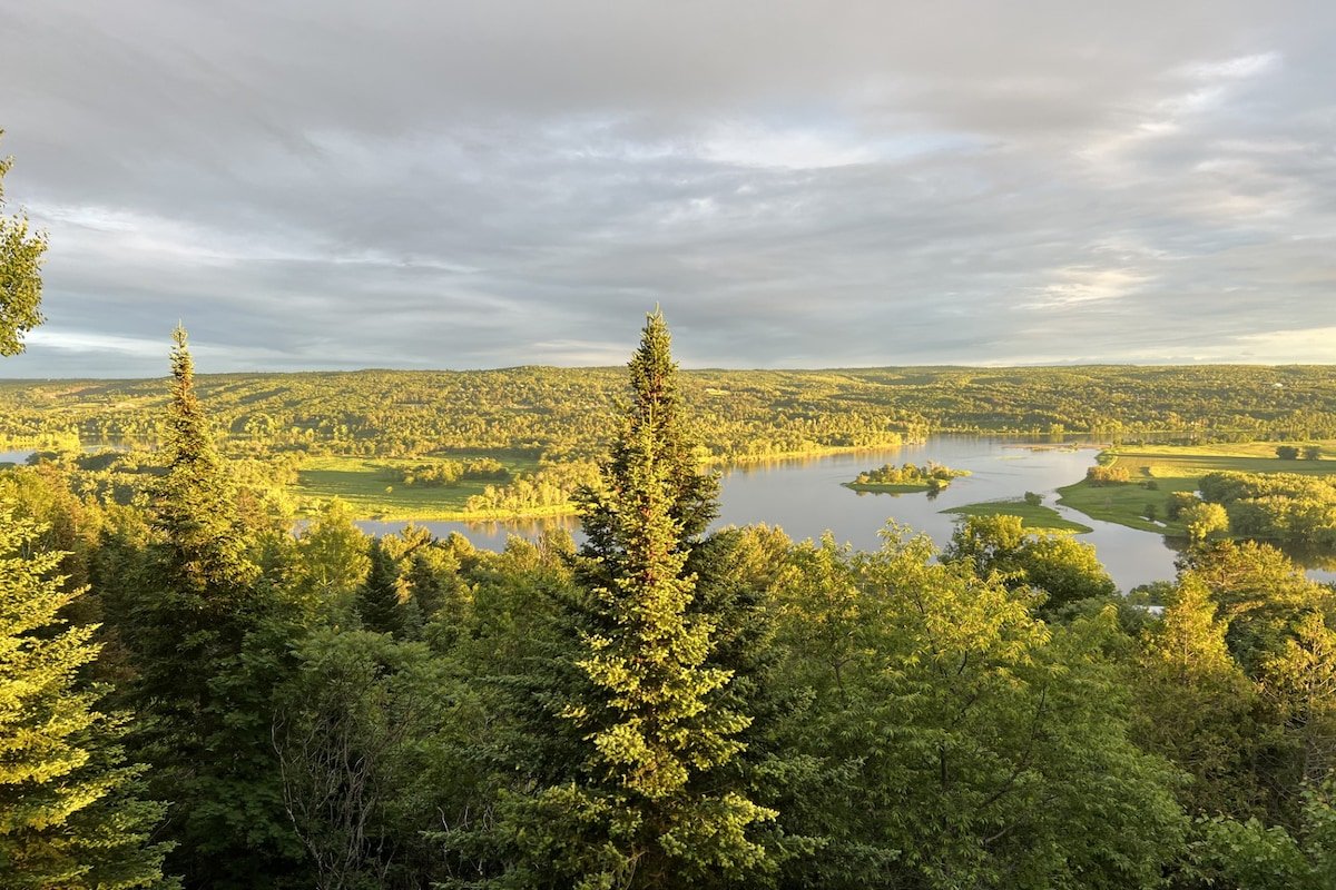 Cliffside, $M VIEW, Pool, Hot Tub, close to DT gallery image 3