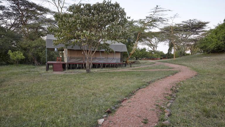 Porini Mara Camp Porini Tent